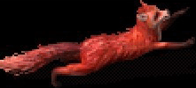1.gif