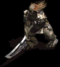 000213.gif