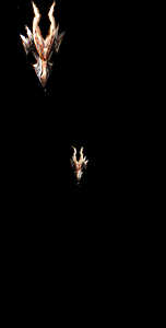 002534.gif