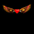 000138.gif