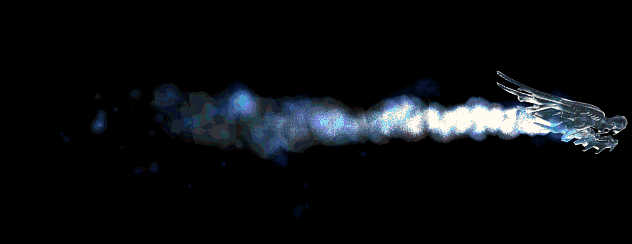 000147.gif