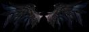000002.gif