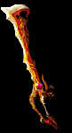 002007.gif