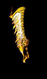ز-֮-ز