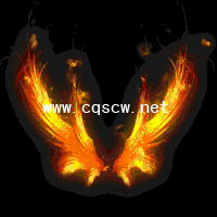 ֮-www.cqscw.net-ز