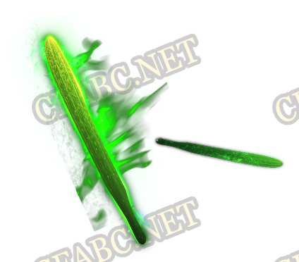 ز-ز1225181-ز
