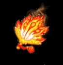 6.gif