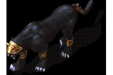 Ϲս