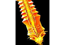 Ǹֳ