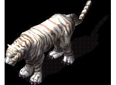 ƻ