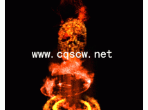 -www.cfabc.net-ز