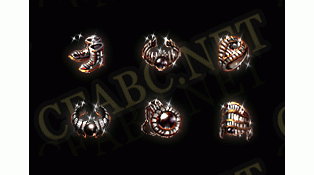 ز-ss051021B-ز