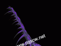 DNFʳȮ-ز-ز