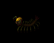 ز_Һ_ز