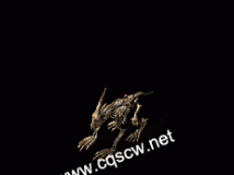 ħȮ-www.cqscw.net-ز