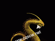 ɫ-www.cfabc.net-ز