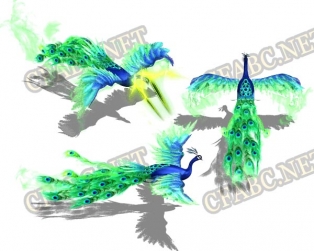 ز-ز0503202-ز
