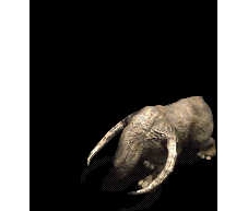ʷǰϬţ