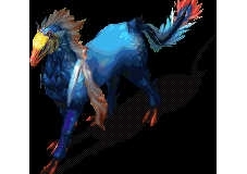 ˮ