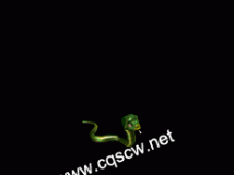 -www.cfabc.net-ز
