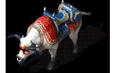 ţ