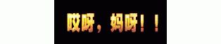 ز-1233-ز̳