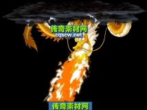 ˧·֮ŭ-ز