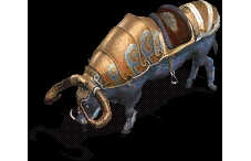 נţ
